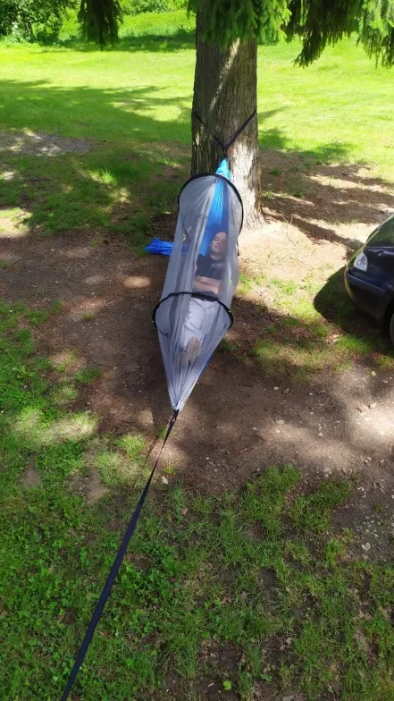 img-20240603-wa0040-20240603-084838.webp