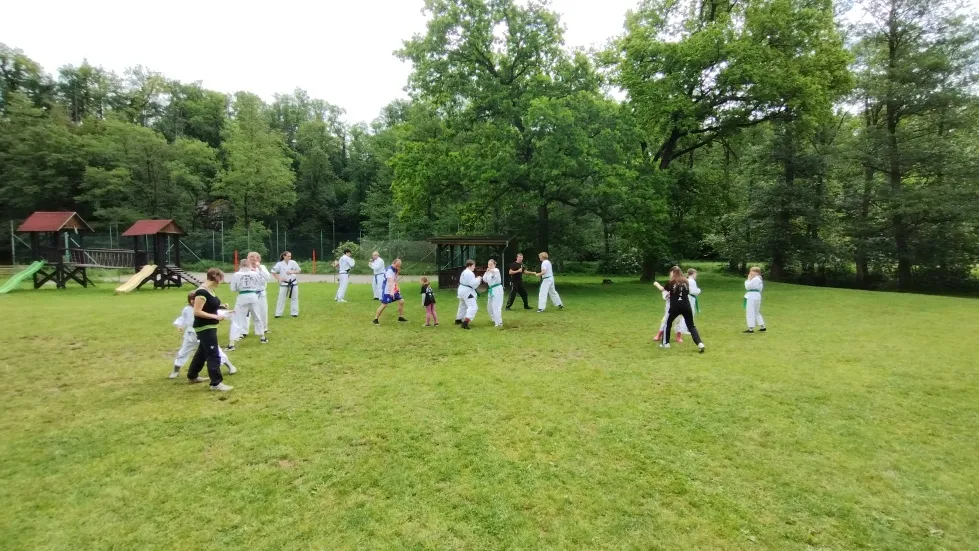 img_20240601_100005078-20240603-084730.webp