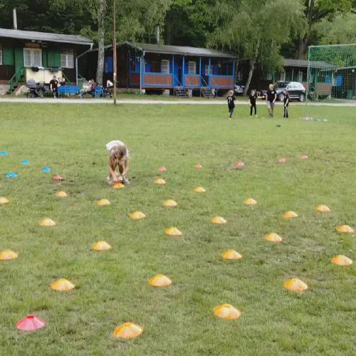 img_20240601_155537078-20240603-084759.webp