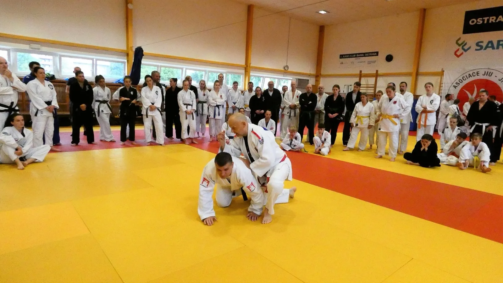 p1370964.webp