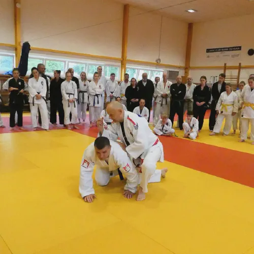 p1370964.webp