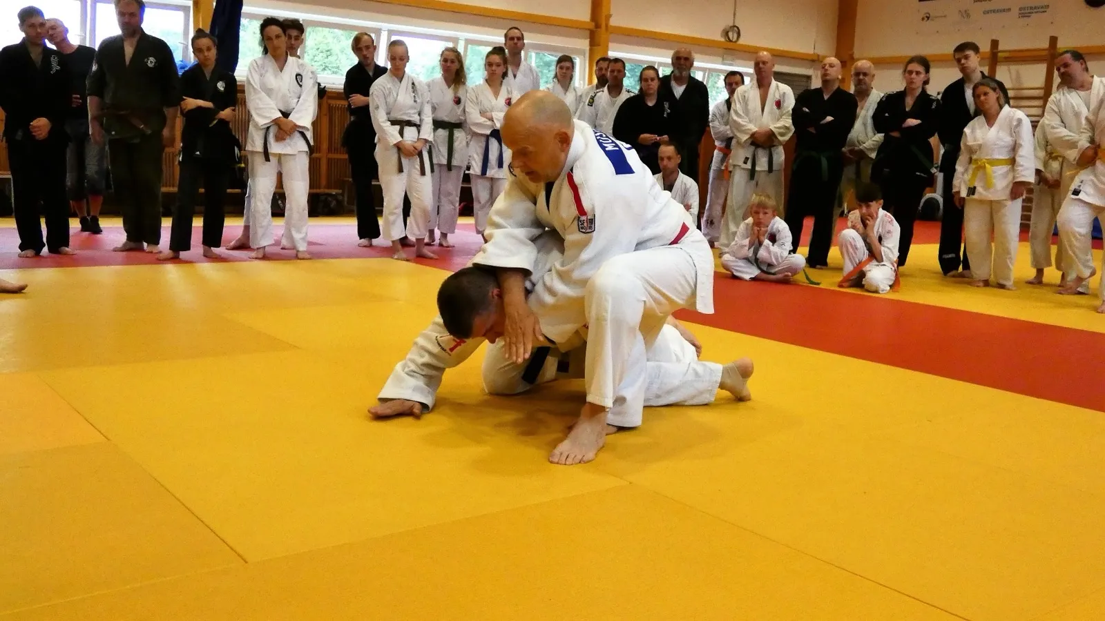 p1370976.webp