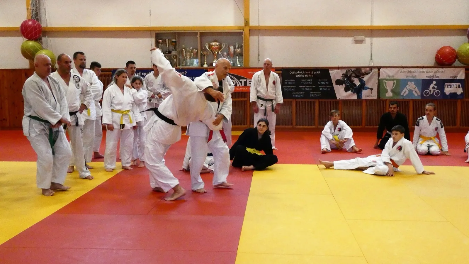 p1380076.webp
