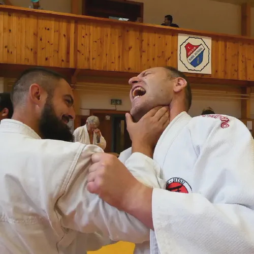 p1380181.webp