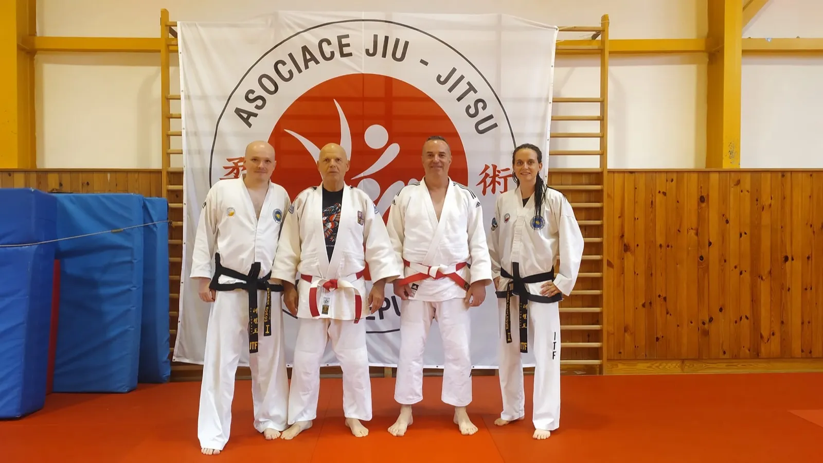 seminar-jiujitsu.webp