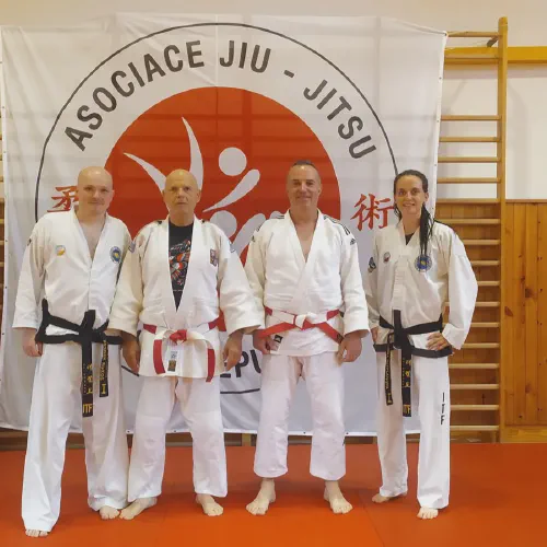 seminar-jiujitsu.webp
