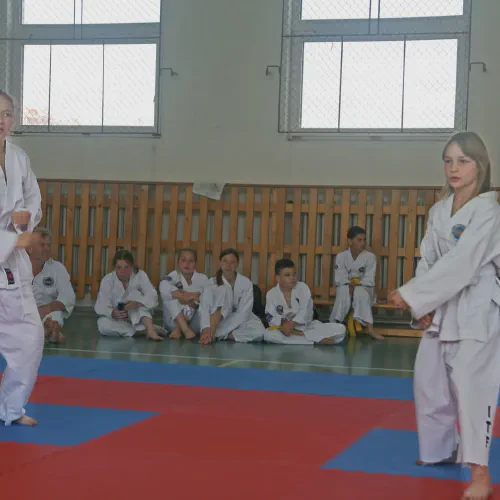 20220528-taekwon-do014pr.webp