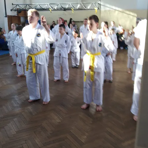 tkd-zk-01.jpeg